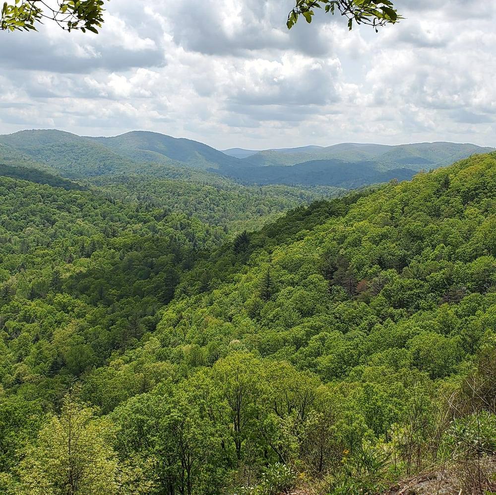 Meet your Posher, Peter